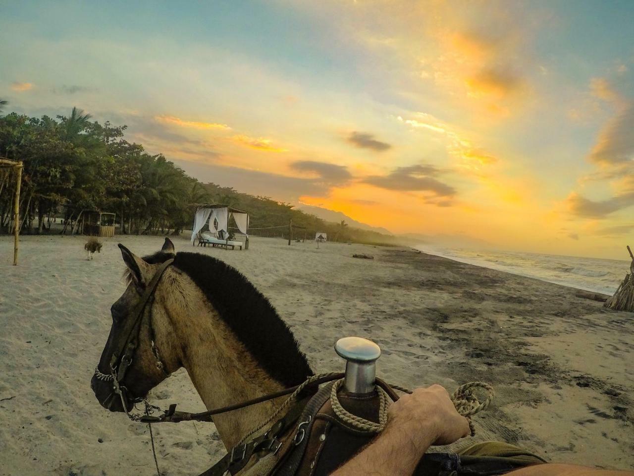 Tay Beach Hotel Tayrona Буритака Экстерьер фото